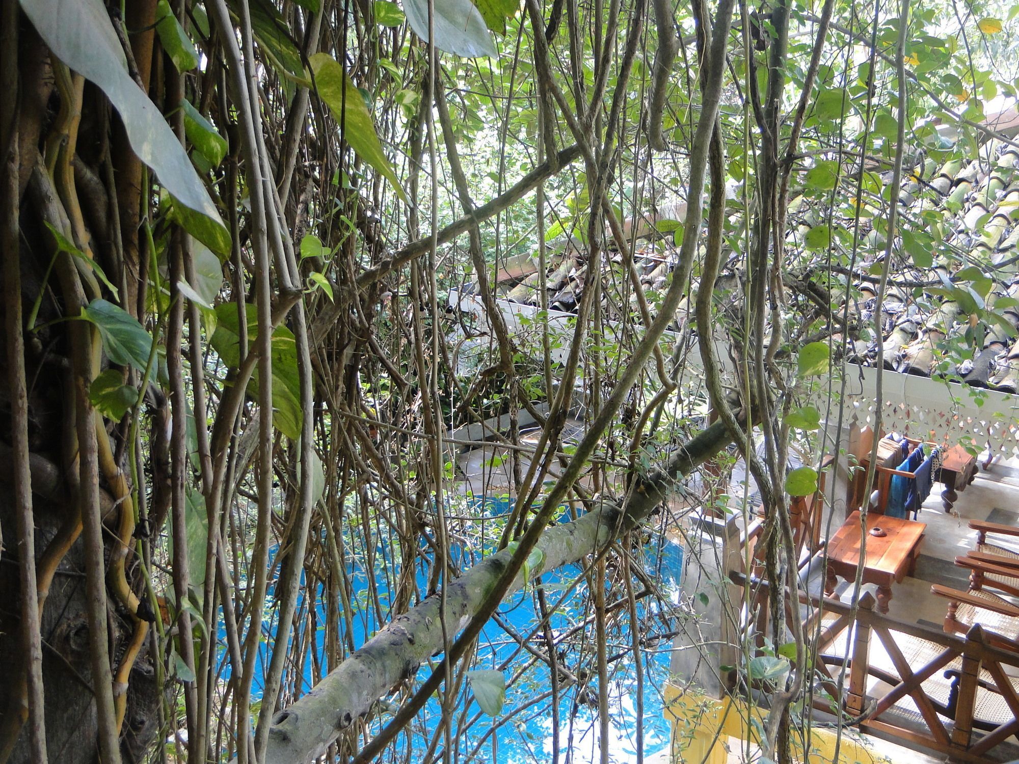 Thambapanni Retreat Hotel Unawatuna Exterior photo
